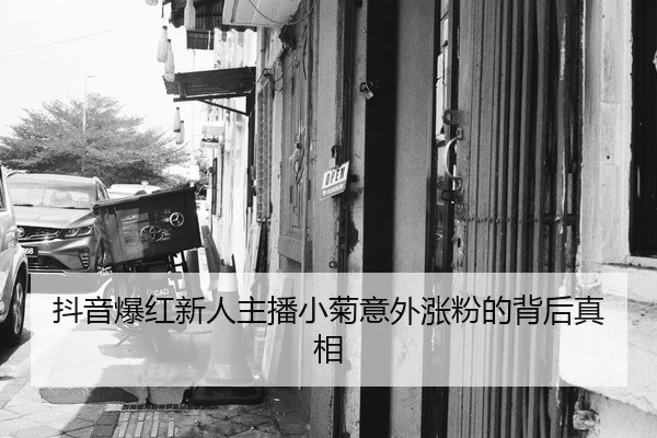 抖音爆红新人主播小菊意外涨粉的背后真相